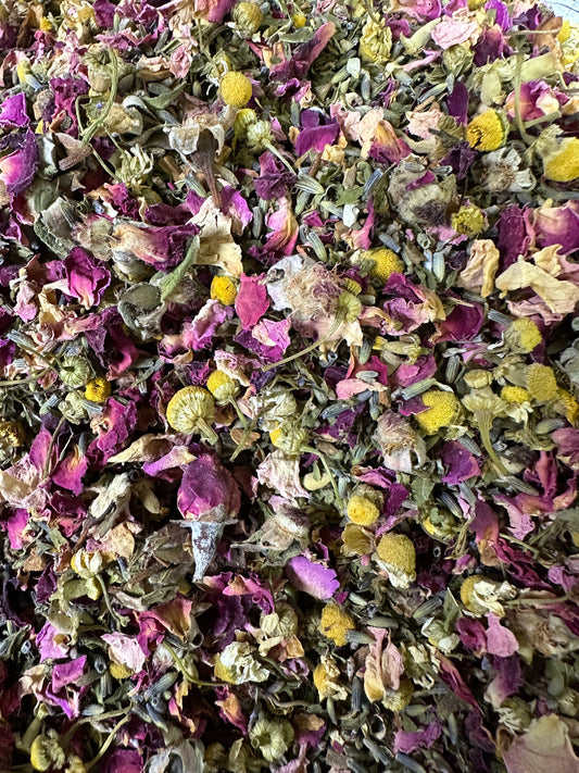 Wendy Rose Sister Tea (Decaffeinated)