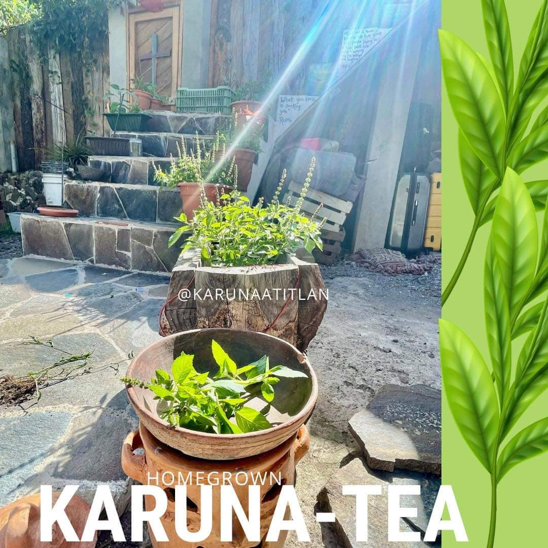 Karuni-Tea Nettle Horsetail Tea (Decaffeinated)