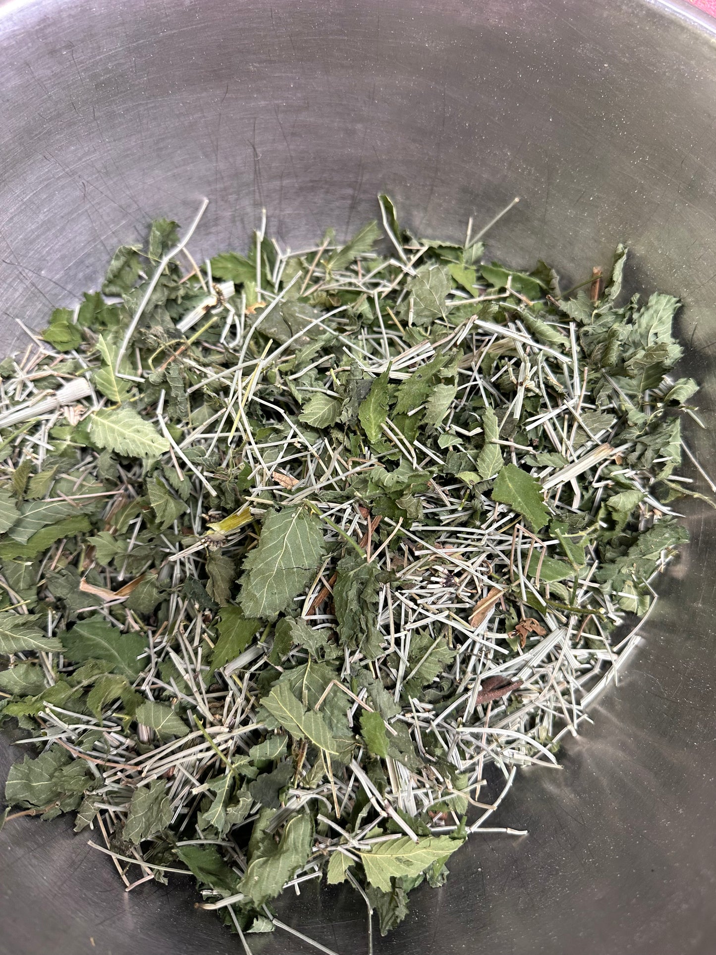 Karuni-Tea Nettle Horsetail Tea (Decaffeinated)